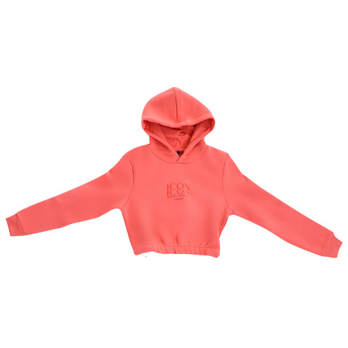 Target Παιδικές φόρμες σετ Cropped Hoodie & Jogger Pants Fleece "Icon"